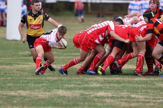 Rugby union  [2/5]