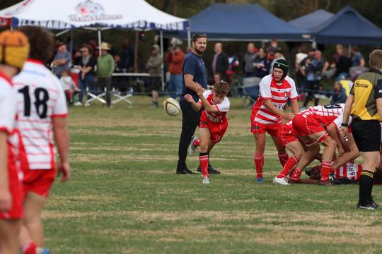Rugby union  [4/5]
