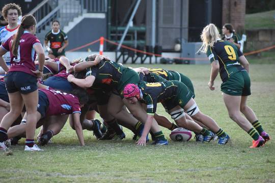 Starting debut at Flanker for Wests Women Prem Grade