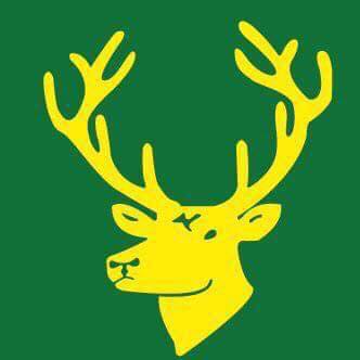 Gordon Rugby Club - Colts