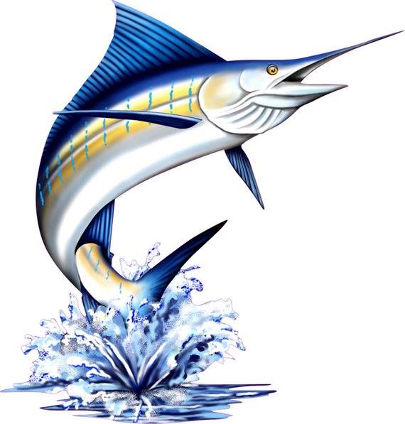 Marlin Bluez Swim Club Fiji